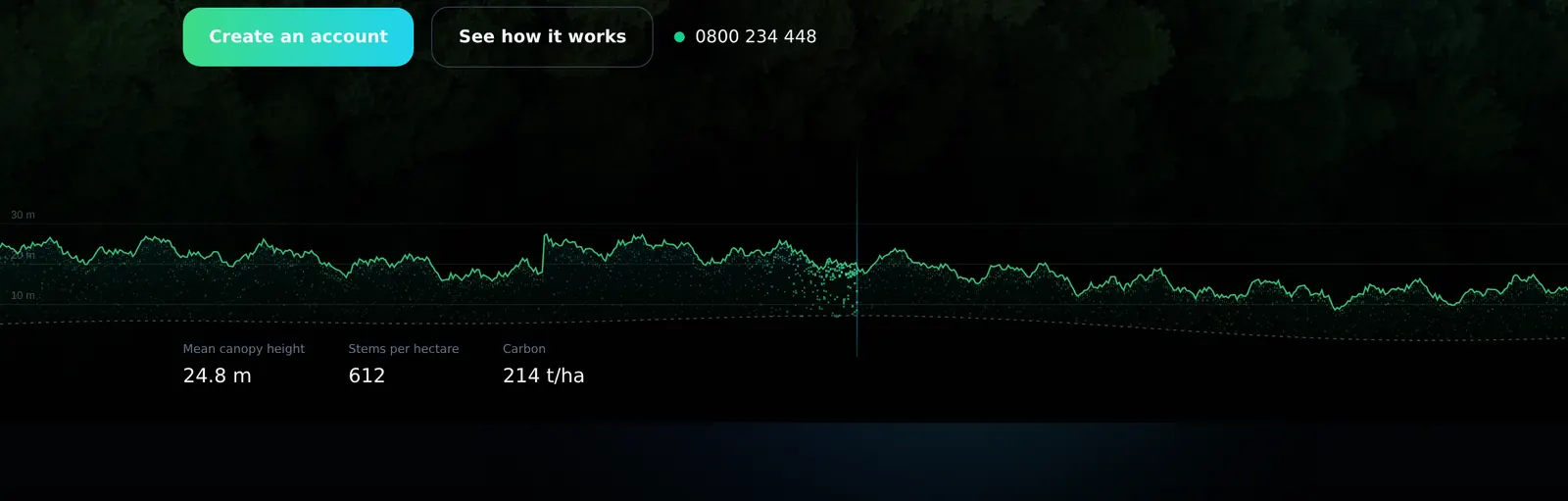 Timba dashboard strip over a forest canopy: a canopy-height trace with readings of 24.8 m mean canopy height, 612 stems per hectare and 214 tonnes of carbon per hectare.